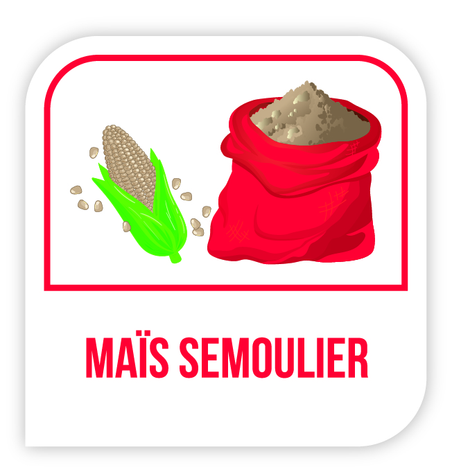 Visuel Maïs semoulier